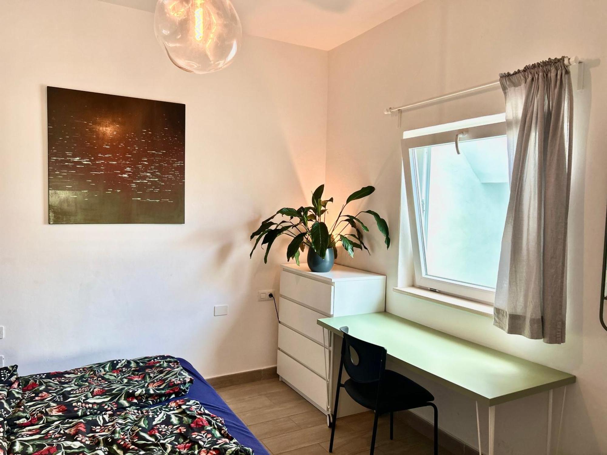 Appartement Perro Y Osito à Garachico  Extérieur photo