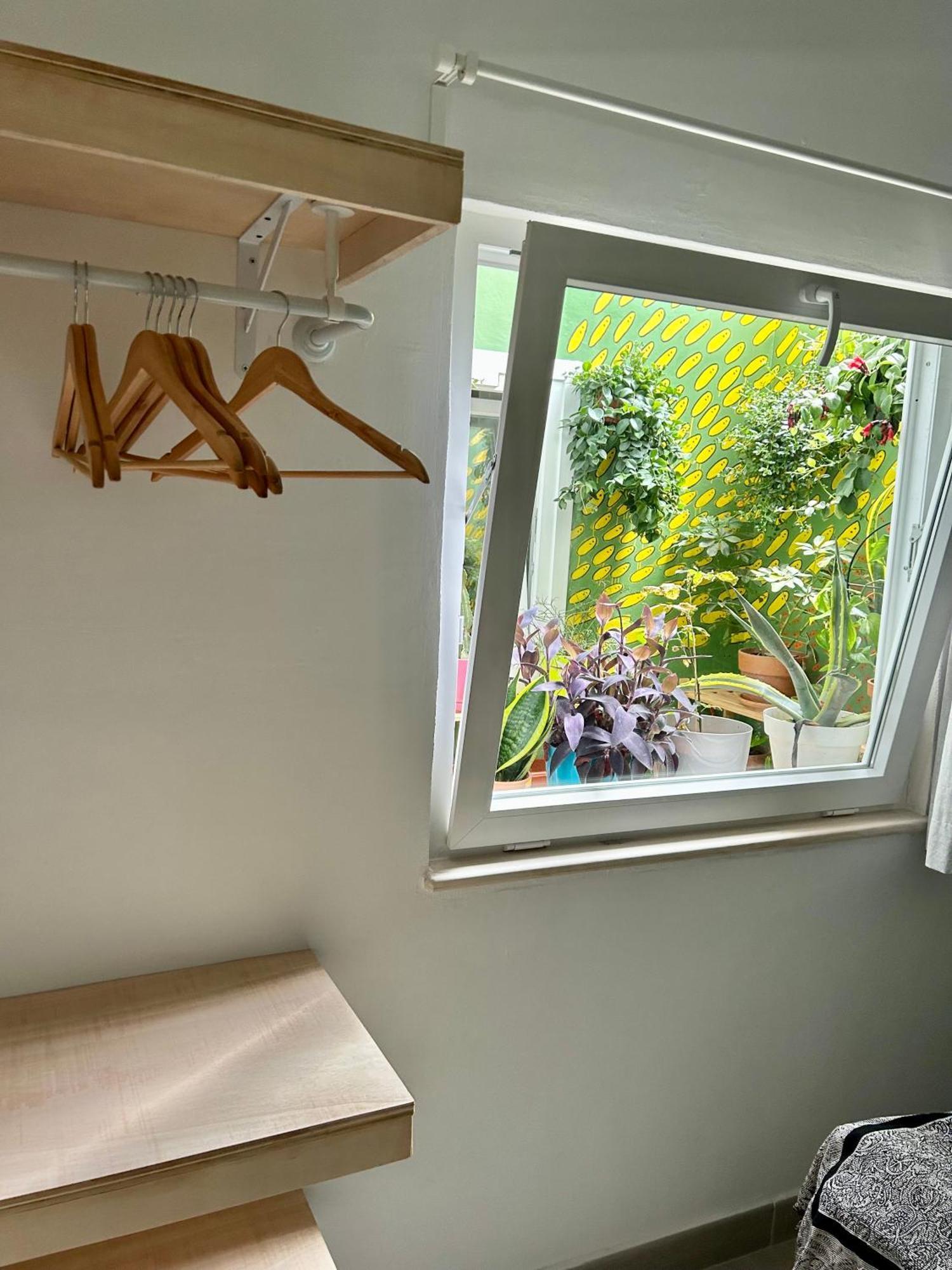 Appartement Perro Y Osito à Garachico  Extérieur photo