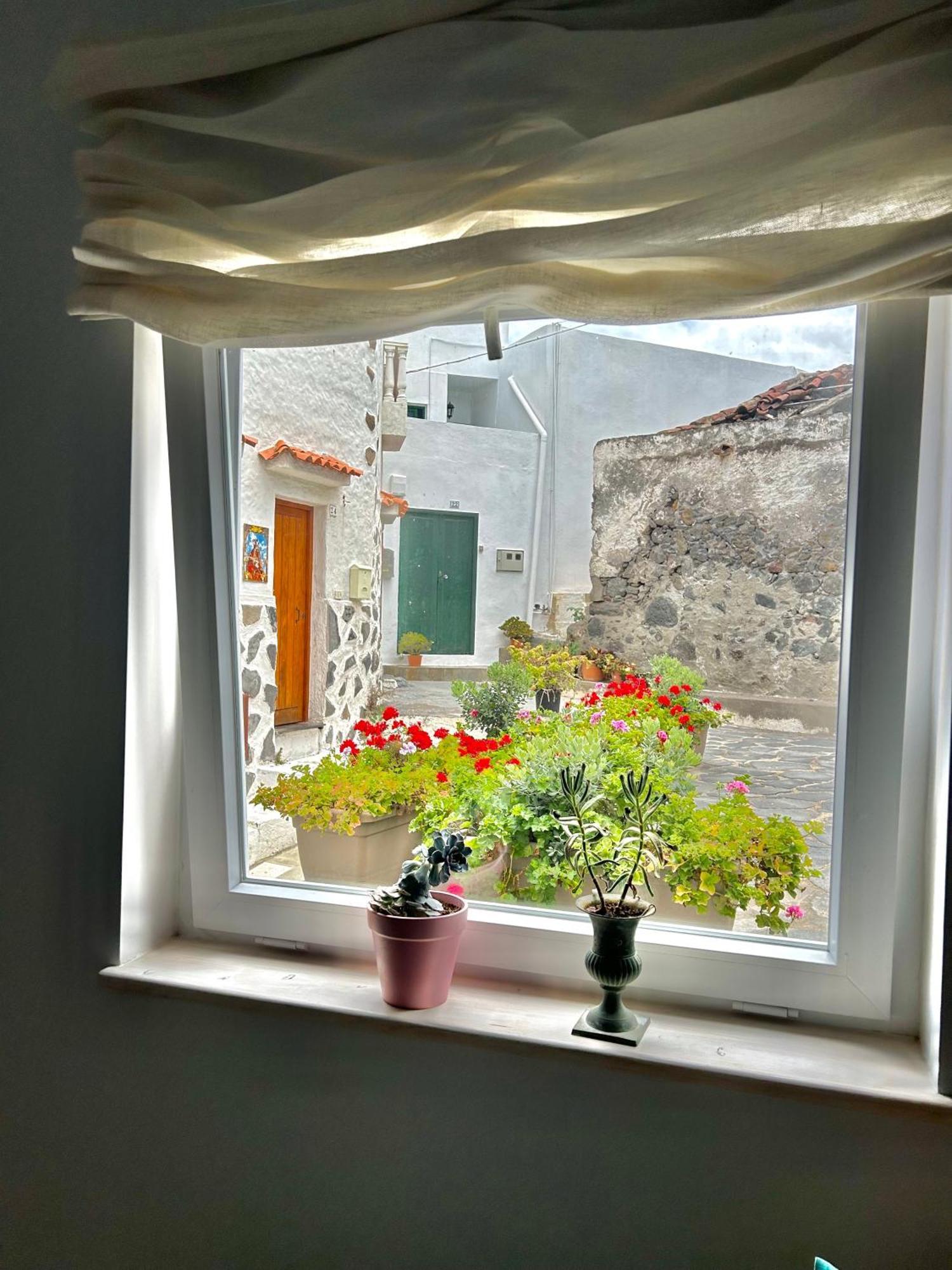 Appartement Perro Y Osito à Garachico  Extérieur photo