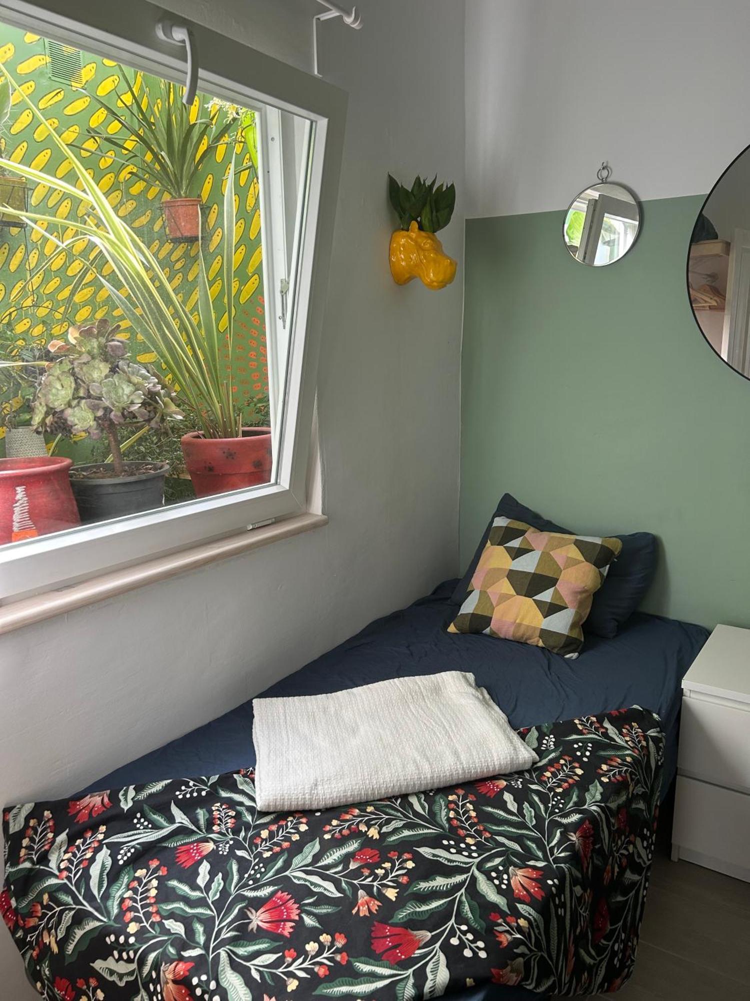 Appartement Perro Y Osito à Garachico  Extérieur photo