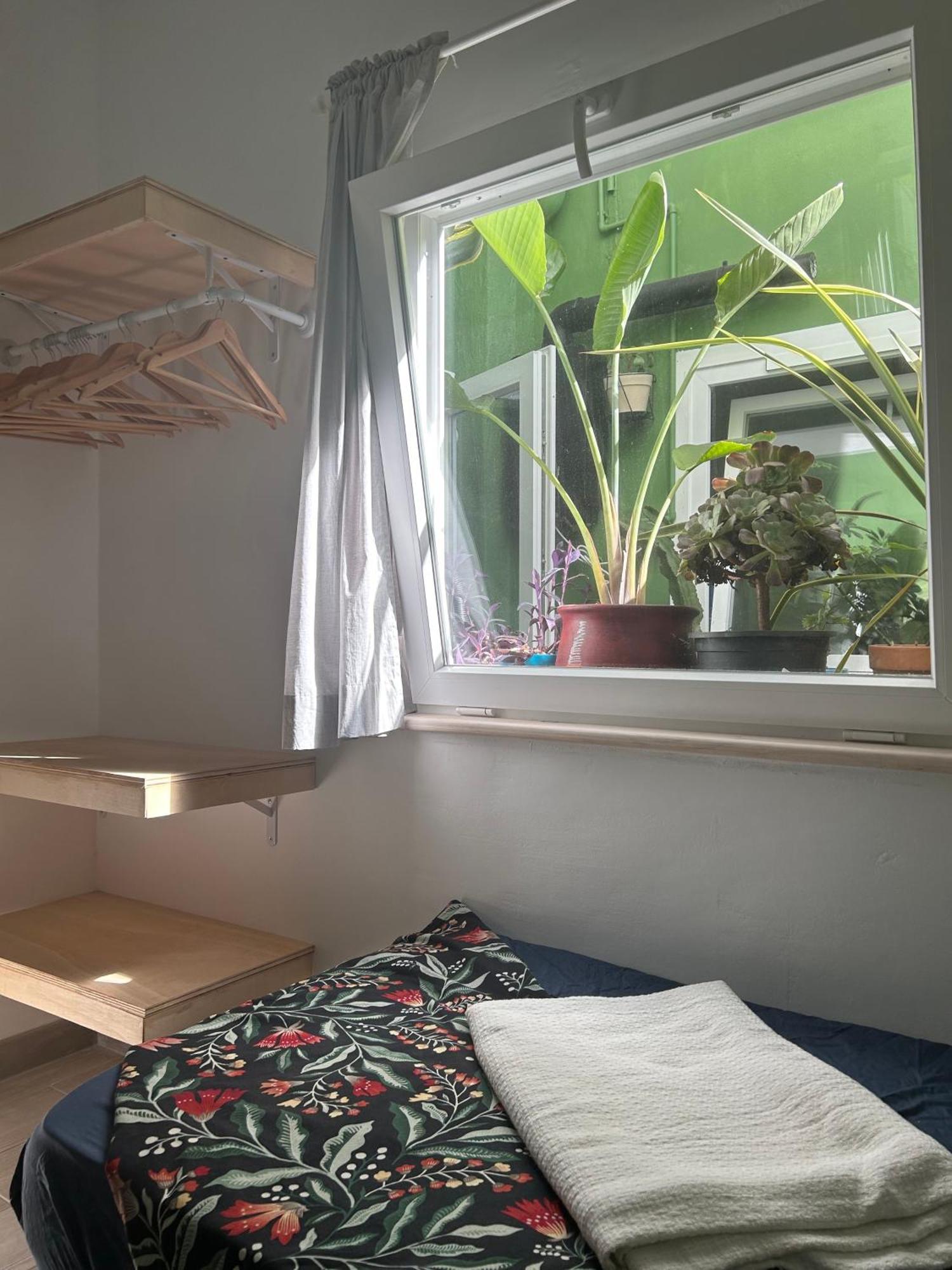 Appartement Perro Y Osito à Garachico  Extérieur photo